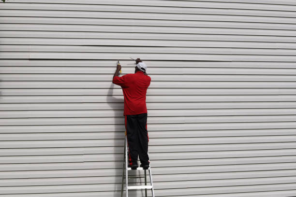 Professional Siding Installation & Repair in St Croix Falls, WI