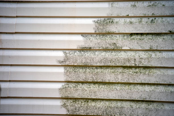 Siding for Commercial Buildings in St Croix Falls, WI
