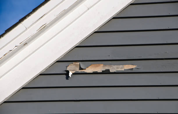 Storm Damage Siding Repair in St Croix Falls, WI
